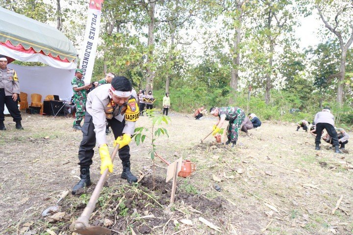 Mediacahayabaru.id Orbitnasional.com 30