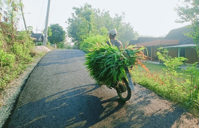 Mediacahayabaru.id Orbitnasional.com 45