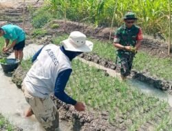 Mediacahayabaru.id Orbitnasional.com 64