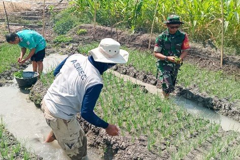 Mediacahayabaru.id Orbitnasional.com 64