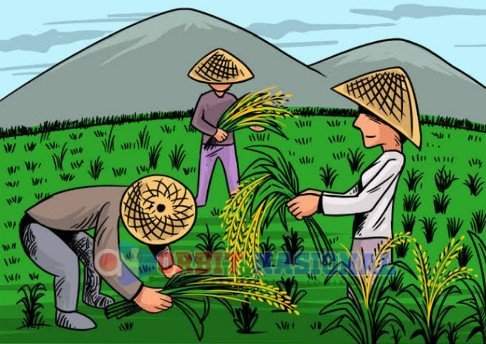 Mediacahayabaru.id Orbitnasional.com 50