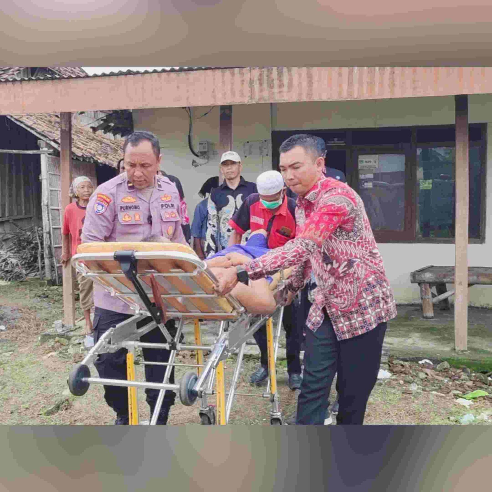 Photocollage 202512413648622