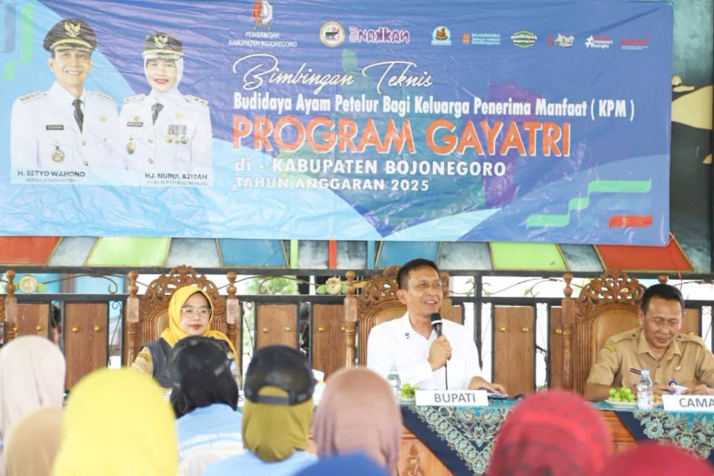 Shotcom 1762176734351