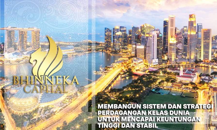 Shotcom 1762353018793