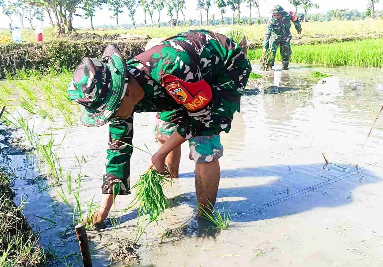 Shotcom 1762416700519