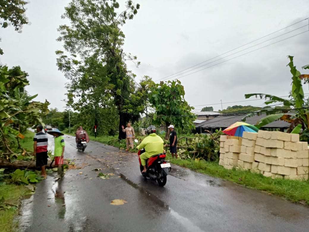 Shotcom IMG 20260309 WA0023